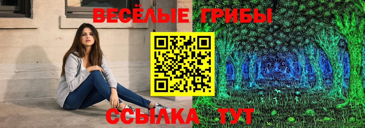 Кызыл  Галлюциногенные грибы Psilocybine cubensis  Галлюциногенные грибы Psilocybe  Вход с VPN 