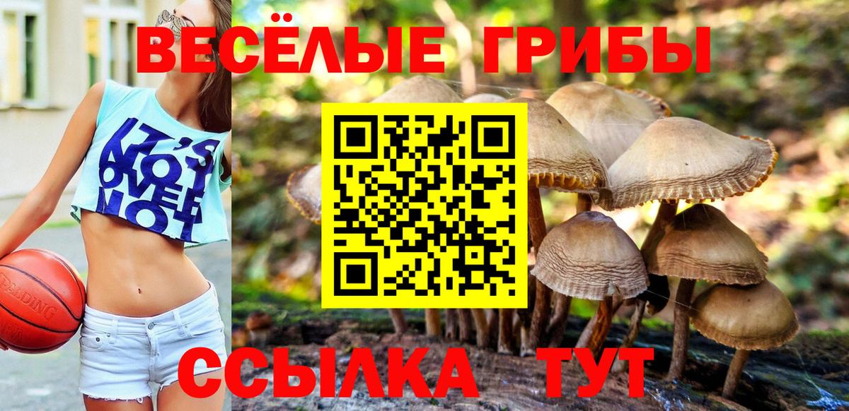Галлюциногенные грибы GOLDEN TEACHER Кызыл