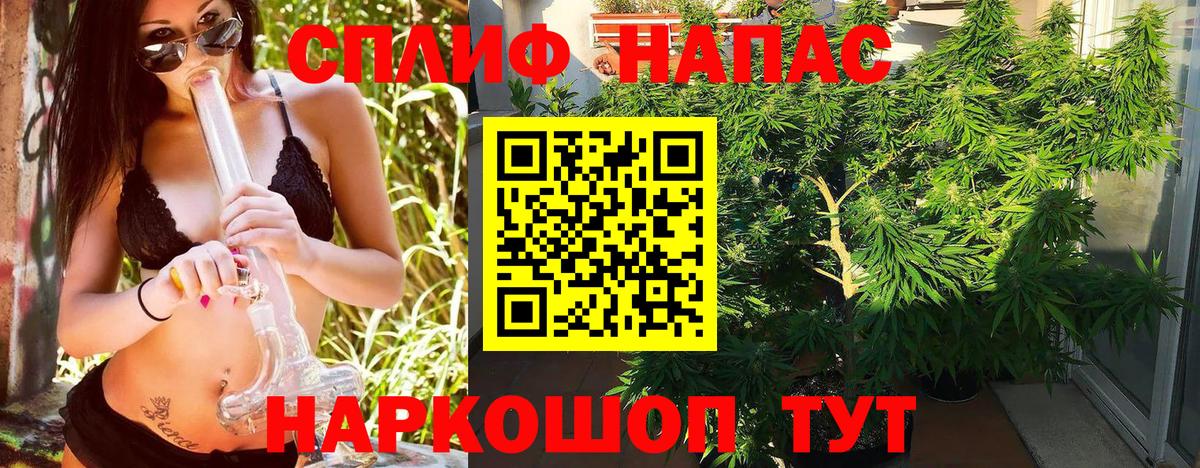 Бошки марихуана AK-47 Кызыл