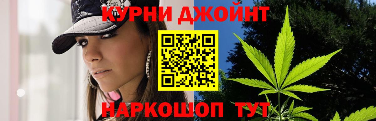Шишки марихуана сатива  Вход с VPN  Кызыл  Шишки марихуана LSD WEED  МАРИХУАНА индика  Бошки Шишки сатива 
